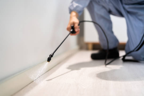 Licensed Rodent Control service in Navassa, NC - Nex Pest Control