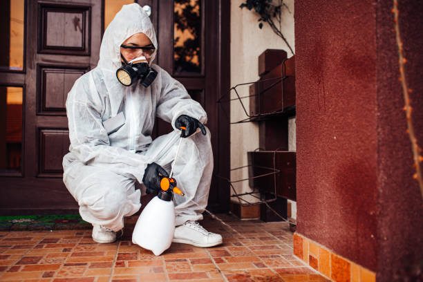 Reliable Rodent Control contractor in Navassa, NC by Nex Pest Control