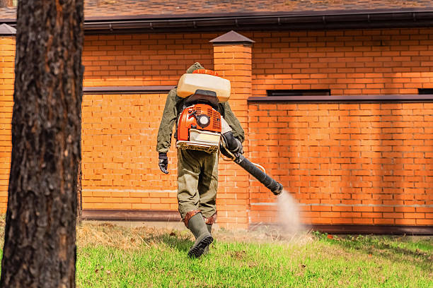 Trusted Termite Control service in Navassa, NC - Nex Pest Control